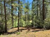 1815 Summit View Drive - Photo 11