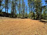 1815 Summit View Drive - Photo 14