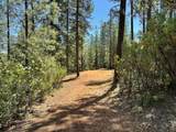 1815 Summit View Drive - Photo 16