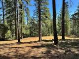 1815 Summit View Drive - Photo 3
