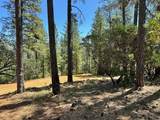 1815 Summit View Drive - Photo 7