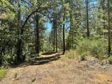 1807 Summit View Drive - Photo 10