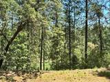 1807 Summit View Drive - Photo 3