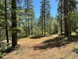 1807 Summit View Drive - Photo 4