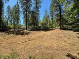 1807 Summit View Drive - Photo 7