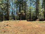 16669 Summit View Drive - Photo 10