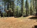16669 Summit View Drive - Photo 11