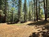 16669 Summit View Drive - Photo 12