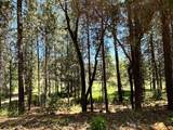 16669 Summit View Drive - Photo 15