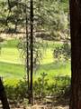 16669 Summit View Drive - Photo 17