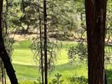 16669 Summit View Drive - Photo 3