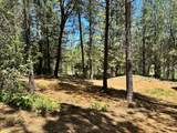 16669 Summit View Drive - Photo 5