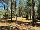 16669 Summit View Drive - Photo 6