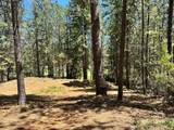 16669 Summit View Drive - Photo 7