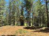16669 Summit View Drive - Photo 8