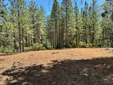 16677 Winchester Club Drive - Photo 10