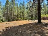 16677 Winchester Club Drive - Photo 11