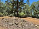 16677 Winchester Club Drive - Photo 13