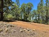 16677 Winchester Club Drive - Photo 14