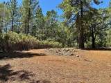 16677 Winchester Club Drive - Photo 17