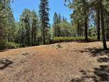 16677 Winchester Club Drive - Photo 4