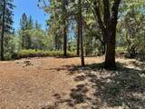 16677 Winchester Club Drive - Photo 5