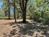 16677 Winchester Club Drive - Photo 6
