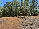 16681 Winchester Club Drive - Photo 11