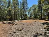 16681 Winchester Club Drive - Photo 12