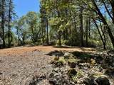 16681 Winchester Club Drive - Photo 13