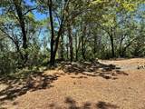 16681 Winchester Club Drive - Photo 14
