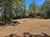16681 Winchester Club Drive - Photo 15