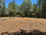 16681 Winchester Club Drive - Photo 16