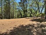16681 Winchester Club Drive - Photo 18
