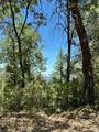 16681 Winchester Club Drive - Photo 26