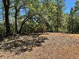 16681 Winchester Club Drive - Photo 9