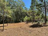 16689 Winchester Club Drive - Photo 12