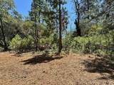 16689 Winchester Club Drive - Photo 13