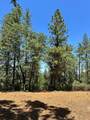 16689 Winchester Club Drive - Photo 14