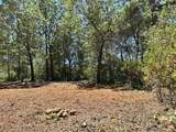 16689 Winchester Club Drive - Photo 3