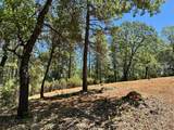 16689 Winchester Club Drive - Photo 6