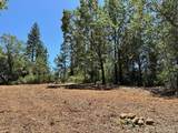16689 Winchester Club Drive - Photo 8