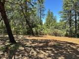 16689 Winchester Club Drive - Photo 9