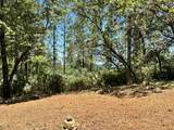 404 Summit View Drive - Photo 13