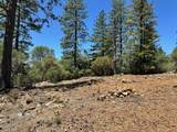 1880 Summit View Drive - Photo 8
