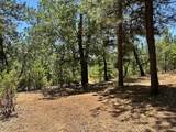 1870 Summit View Drive - Photo 11