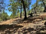 1870 Summit View Drive - Photo 12