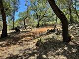 1870 Summit View Drive - Photo 13