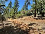 1870 Summit View Drive - Photo 6