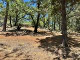 1870 Summit View Drive - Photo 8